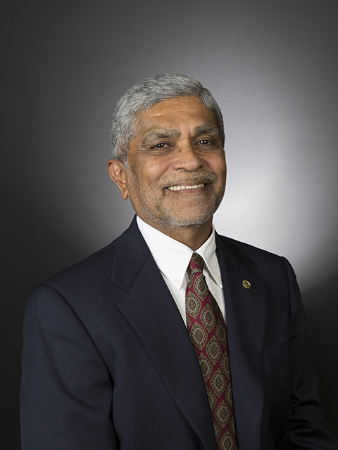 Prof. Vijay Vittal